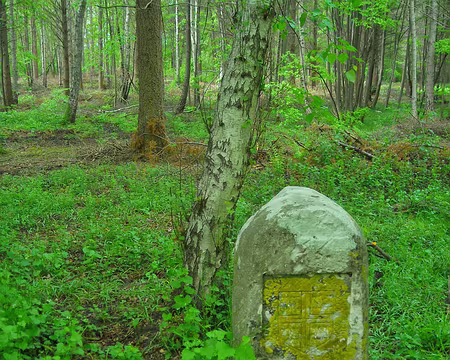 PXL009 Une des bornes qui jalonnent l'allée Brunehaut. 1573. Armoiries des Condé ou des Montmenrency
