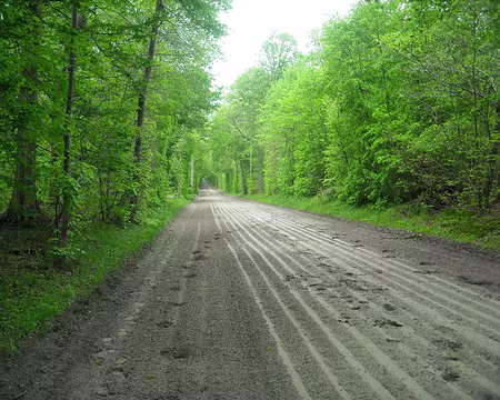 PXL010 Piste d'entrainement des purs-sangs