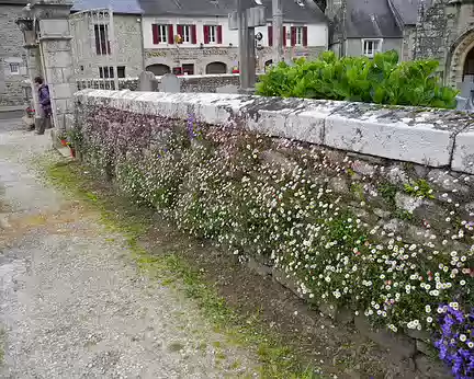 PXL027 mur fleuri