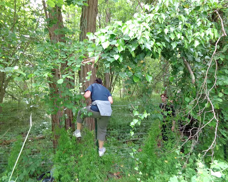 DSC00111 par dessus !