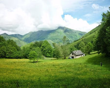 PXL004 .... doux.... (et là, il y avait du réseau)