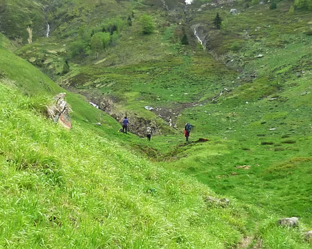 PXL007 ....Mais quelle idée de prendre le sente des moutons...