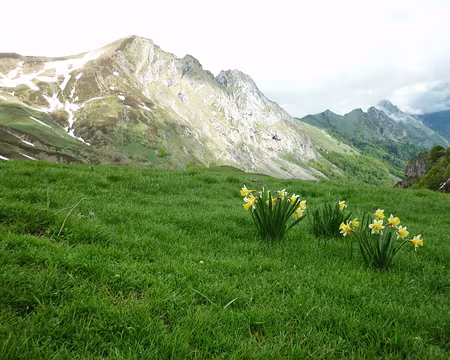PXL015 Là, plus de réseau (=le néant), et des limaces en pagaille.