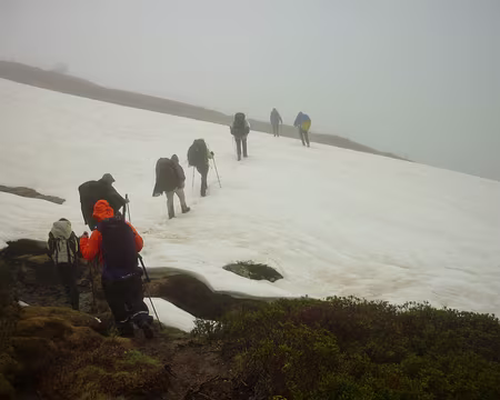 PXL033 .... et aucun piège n'a arrêté....