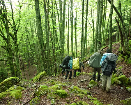 PXL041 .... sans plus se faire saucer la tête....