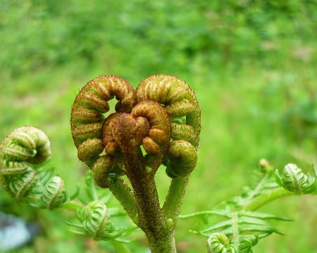 PXL043 ...dans une nature pacifique pour qui regarde les détails...