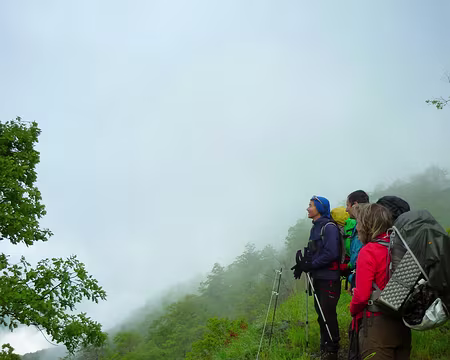 PXL055 .... a rejoint