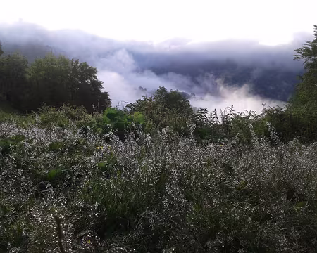 03 Hmm ca sent la menthe