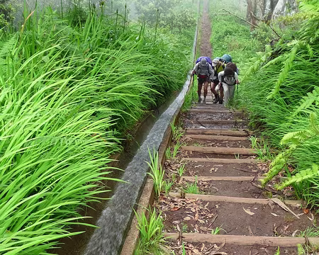 PXL009 J3 - Levada do Furado : Derniers efforts dans la montée
