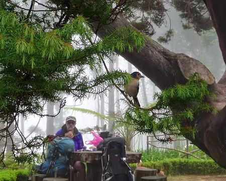 PXL013 J3 - Levada do Furado : Pause déjeuner