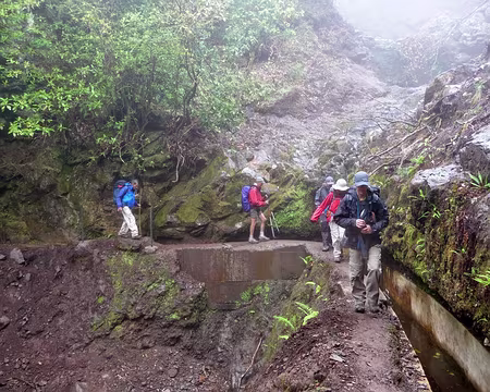 PXL020 J3 - Levada do Furado