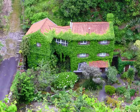 PXL022 J3 - Levada do Furado - Le gite tant espéré dans la Faja do Cedro Gordo