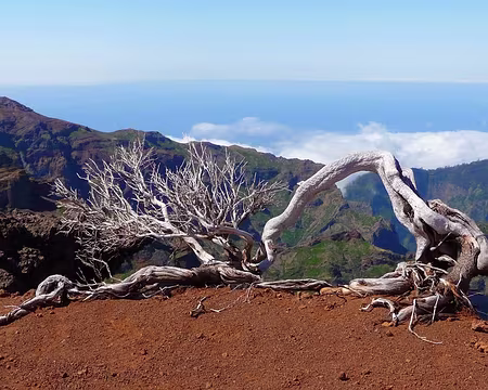 PXL038 J5 - Au Pico Ruivo (1862m)
