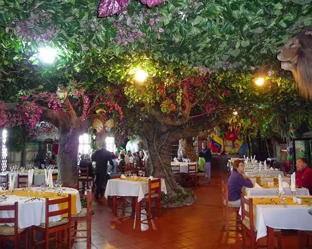 PXL063 J8 - L'extravagance de l'hôtel Pico da Urze