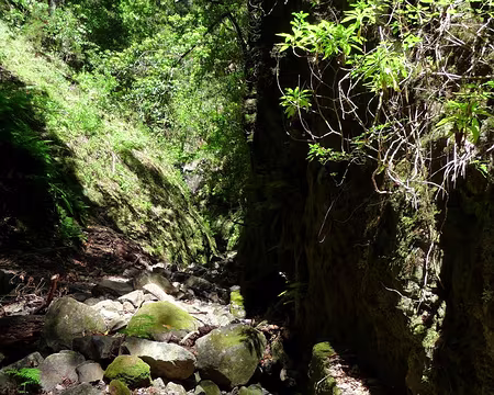 PXL065 J9-Porto Moniz : Levada da Janela