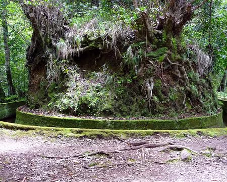 PXL066 J9-Porto Moniz : Levada da Janela