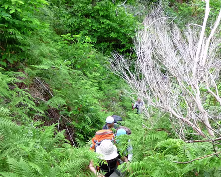 PXL076 J11-Pico Grande : Chemin peu fréquenté