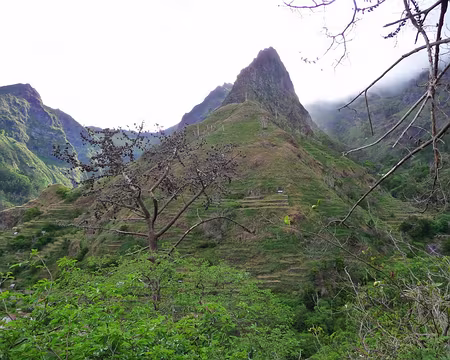 PXL081 J10-Repos Porto Moniz : Vue de la Pousada dos Vinhaticos