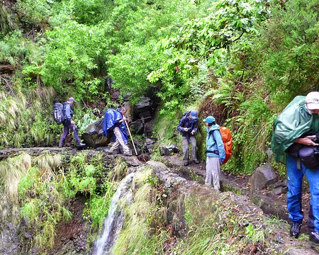 PXL094 J12-Levada do Curral : Qui va piano va sano