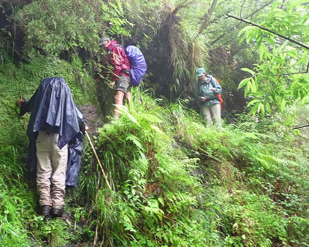 PXL095 J12-Levada do Curral : Qui va piano va sano