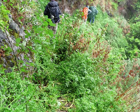 PXL096 J12-Levada do Curral : Marche à taton. Où est le bord ? Où est l'eau ?