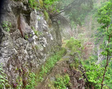 PXL099 J12-Levada do Curral : Heureusement levada à sec de temps en temps.
