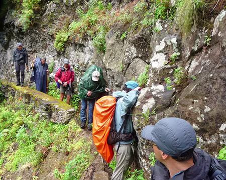 PXL102 J12-Levada do Curral : Passage délicat - Option 