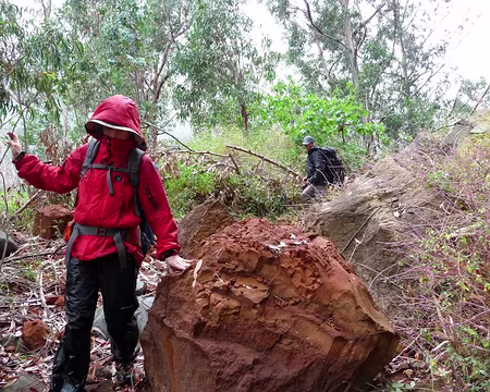PXL105 J12-Levada do Curral : Obstacle minéral pour pimenter notre marche