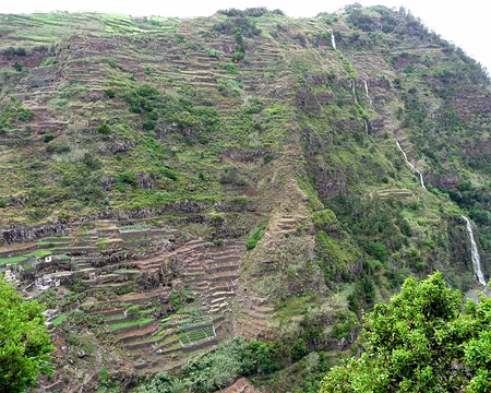 PXL111 J12-Levada do Curral : Jardins en terrasse aux portes de Funchal