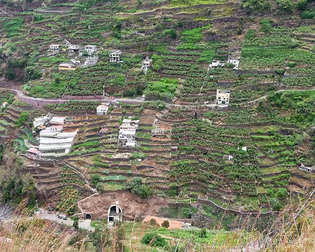 PXL112 J12-Levada do Curral : Bananeraies en terrasse aux portes de Funchal