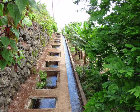 PXL117 J12-Levada do Curral : Faubourg de Funchal - Bien regarder où on met les pieds