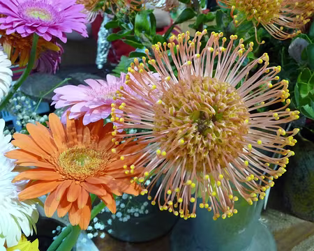 PXL122 J13-Funchal : Mercado dos Lavradores