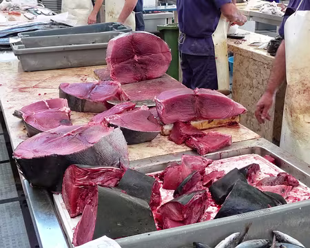 PXL128 J13-Funchal : Mercado dos Lavradores - Thon frais pour dîner :-)