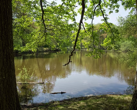 009 Pique-nique au Petit Étang Neuf.