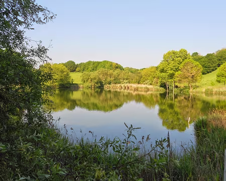 PXL003 L'étang des Brouillards...