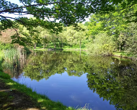 PXL004 L'étang Haricot...