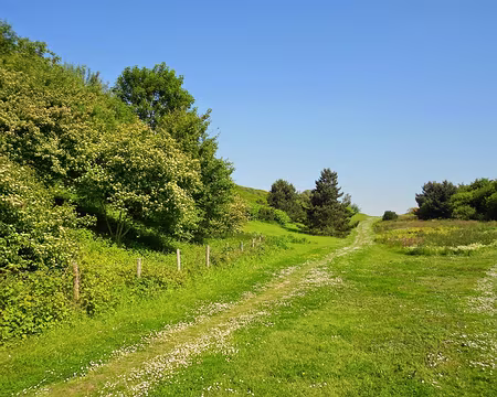 PXL007 ...le plus grand parc d'Ile de France avec 415 ha.