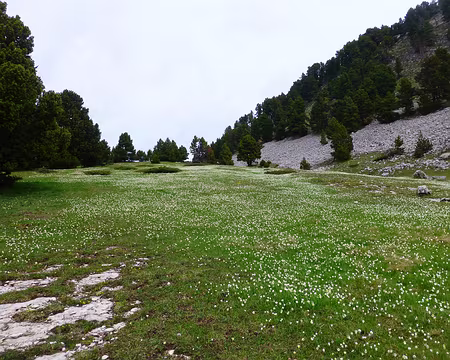 PXL020 On y cherche encore le chemin ...