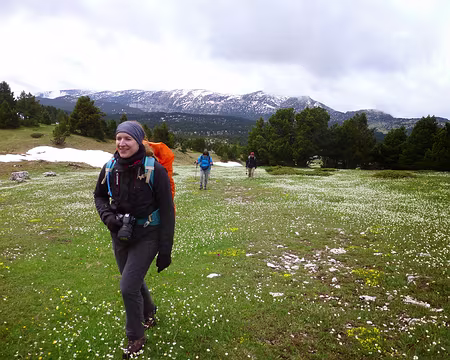 PXL021 Prairies en fleurs