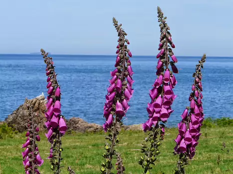 2014-06 Cap de La Hague