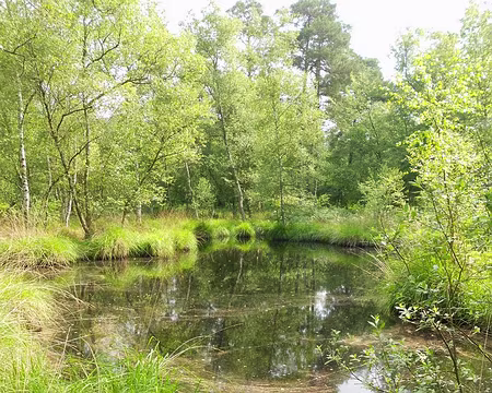 PXL002 Mare à Dagneau