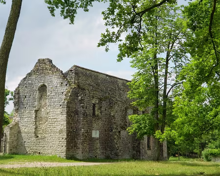 PXL006 Ruines de la chapelle du prieuré de Franchard
