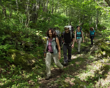 FM9A0063 Dans la forêt domaniale de l’Hospitalet