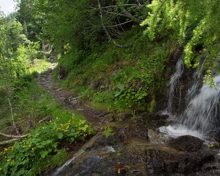 FM9A0089 Un des nombreux ruisseaux qui traversent le GR 107C