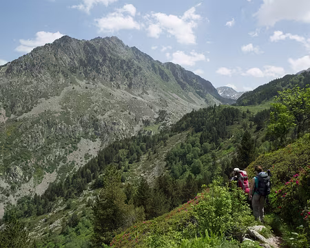 FM9A0122 Sur le GR 107C en direction des Bésines