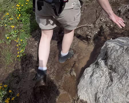 FM9A0202 Terrain détrempé