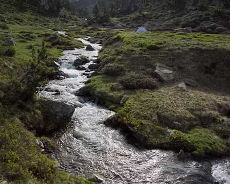 FM9A0280 Ruisseau de Coume d’Agnel