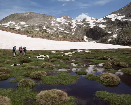 FM9A0483 Recherche d’itinéraire en terrain spongieux