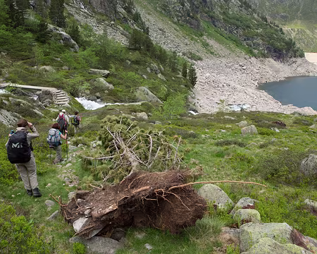 FM9A0957 Nous n’y sommes pour rien ! (mais les avalanches peut être)