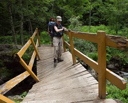 FM9A1093z1547 Passerelle sur la Gnioles